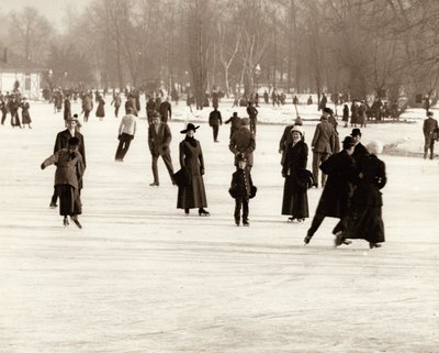 Ice Skaters in Forest Park by Unknown